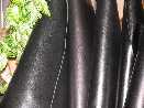 Cow's Leather BONA - prized at Pozna� International Fair - SPRING 2006 